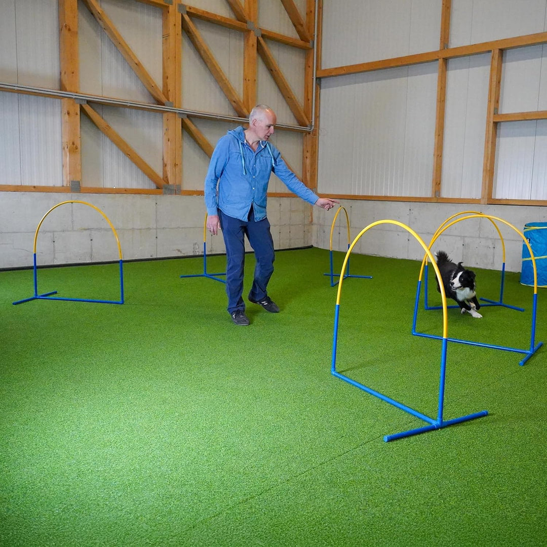 Callieway 6X NADAC Hoopers Agility Hoops - Grosspackung Fun Hoops - Blau - 6er Pack (Mit Mittelstreb