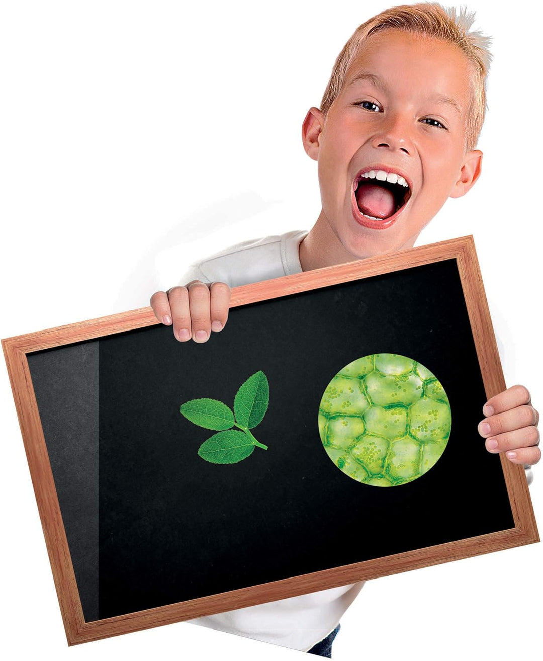 Clementoni 13967 - Wissenschaft und Spiel Mikroskop Super Kit