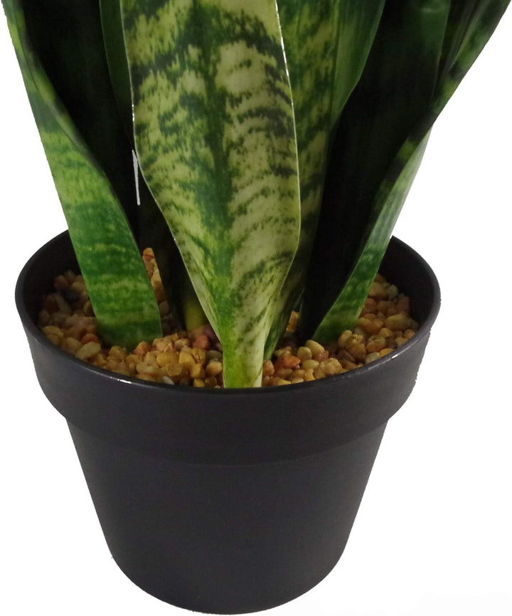 Leaf Kunstpflanze, Blätter, 70 cm, Kunststoff, Zeylanica Sansevieria Zeylanica Sansevieria 70 cm, Ze