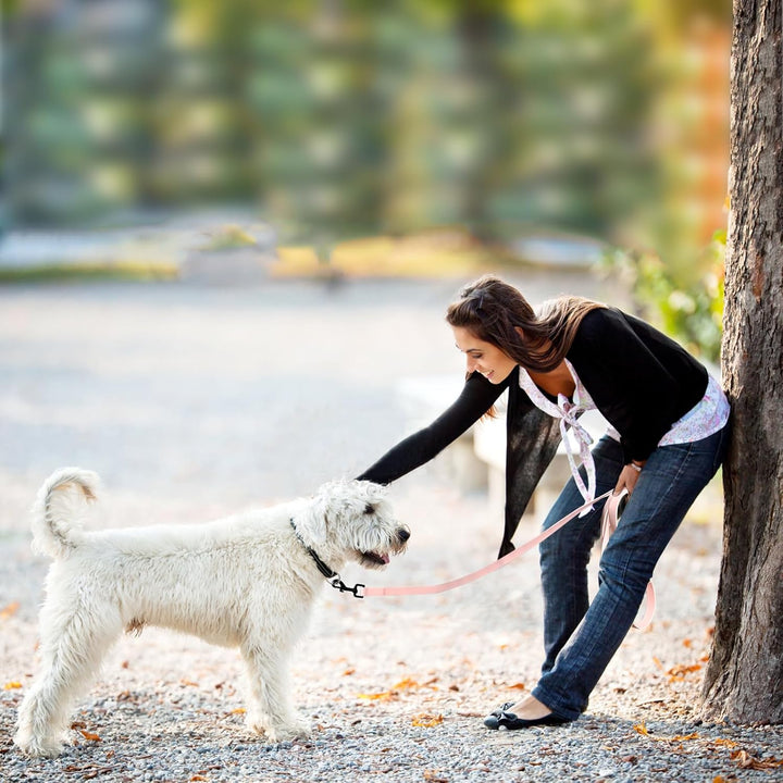 Schleppleine für Hunde, Schleppleine 5m/10m/15m/20m mit Handgriff und D-Ring, Wasserdicht und Leicht