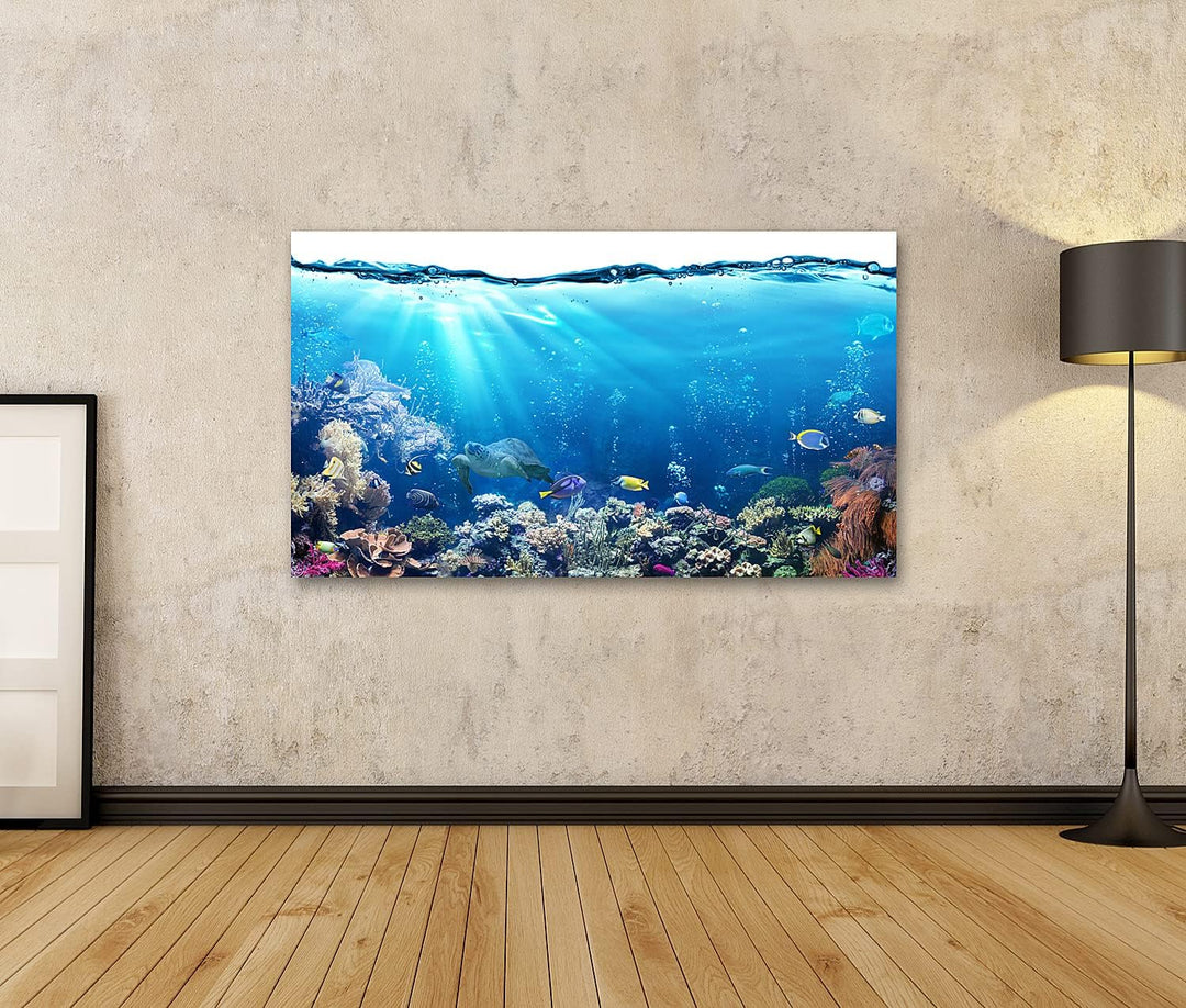 islandburner Bild auf Leinwand Unterwasser Mit Riff Und Tropischen Fischen Aquarium Hintergrund Bild