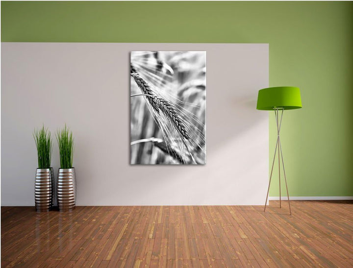 Pixxprint Weizen auf dem Feld als Leinwandbild | Grösse: 100x70 cm | Wandbild | Kunstdruck | fertig