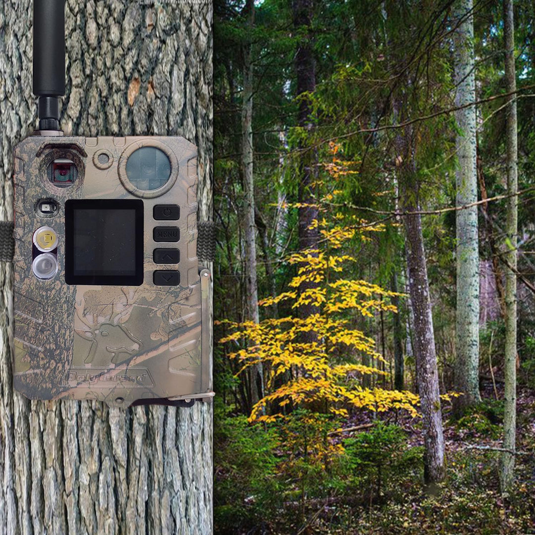 BolyGuard 4G Trail Cam 36MP 2,7K Wildkamera Wildkameras mit Nachtsicht, bewegungsaktiviert, wasserdi