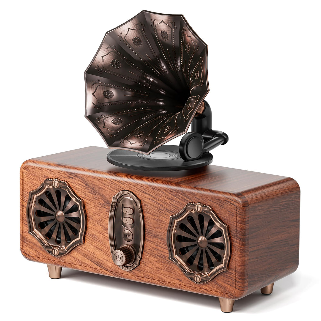 COLSUR Retro Bluetooth Lautsprecher Vintage FM Radio unterstützt TF-Karte/AUX/USB tragbarer kabellos
