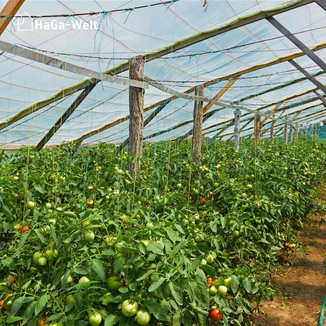HaGa® Gitterfolie 1,5m x 10m Gewächshausfolie Gewächshausbau Folientunnel Folie - witterungsbeständi