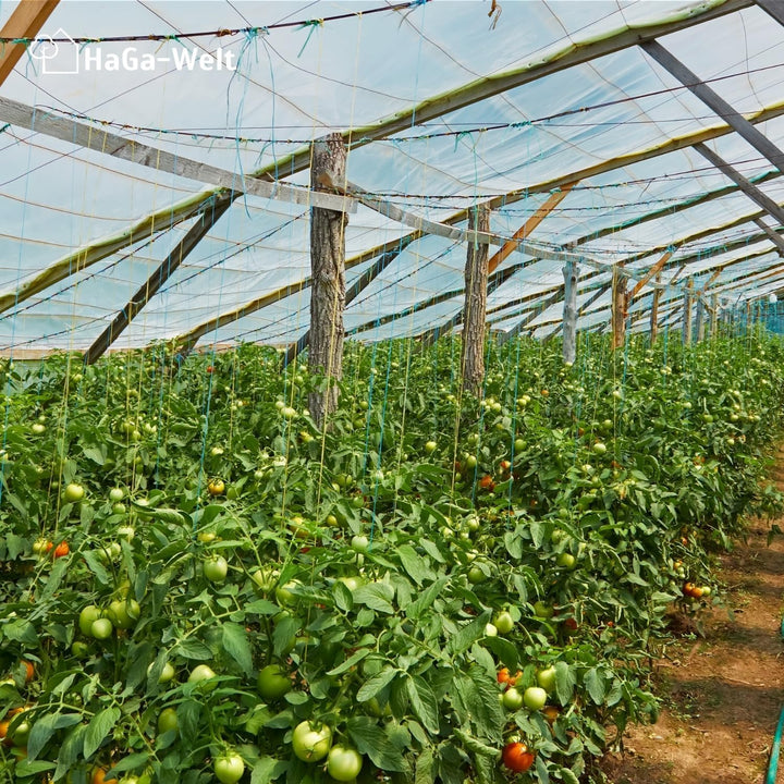 HaGa® Gitterfolie 1,5m x 10m Gewächshausfolie Gewächshausbau Folientunnel Folie - witterungsbeständi