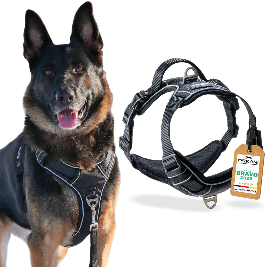 Bravo Hundegeschirr 2025 - Premium No-Pull, Anti-Zug Geschirr, atmungsaktiv, weich gepolstert mit Si