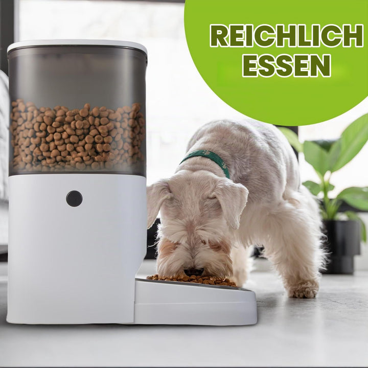 Green Blue Automatischer Futterspender für Haustiere 6 Liter | bis zu 8 Mahlzeiten pro Tag programmi