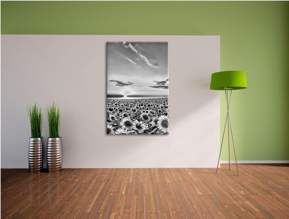 Pixxprint Monocrome, Sonnenuntergang am Sonnenblumenfeld, Format: 100x70 auf Leinwand, XXL riesige B