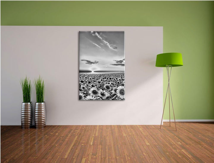 Pixxprint Monocrome, Sonnenuntergang am Sonnenblumenfeld, Format: 100x70 auf Leinwand, XXL riesige B