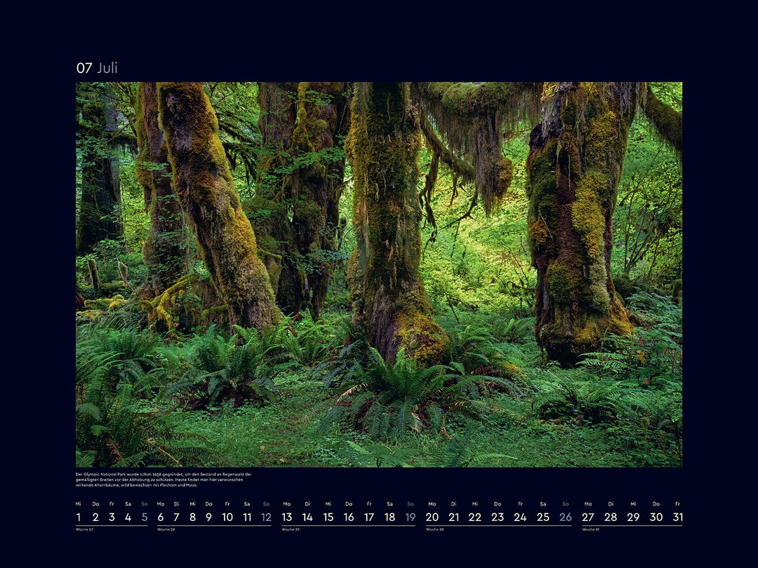 Farben der Erde - KUNTH Wandkalender 2026: Hochwertiger, bildstarker Kalender mit Spiralbindung im G