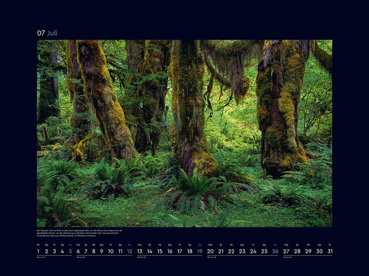 Farben der Erde - KUNTH Wandkalender 2026: Hochwertiger, bildstarker Kalender mit Spiralbindung im G
