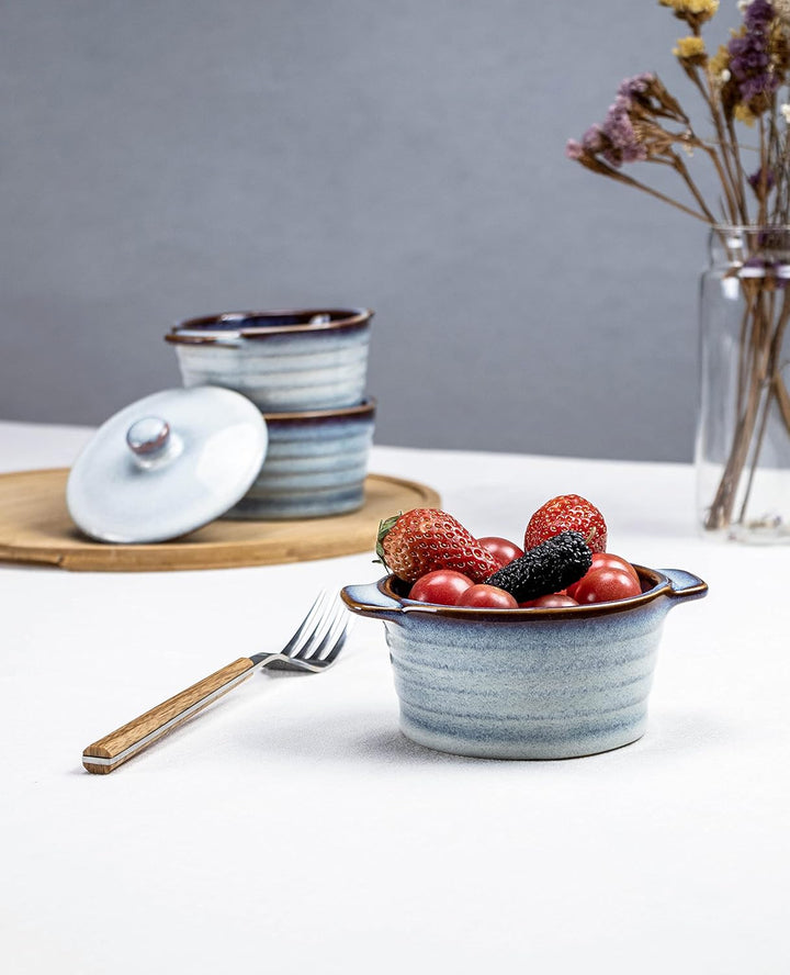 Mini Cocotte Porzellan, Keramik Auflaufform mit Deckel Ofenfest 4 Stück - 230 ml, Creme Brulee Schäl