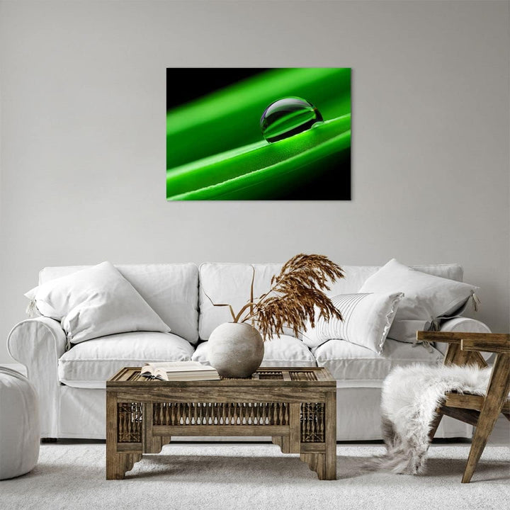 Bilder auf Leinwand Pflanze Tropfen Wasser Blase Leinwandbild 70x50cm Wandbilder Dekoration Wohnzimm