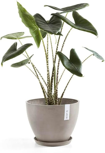 ECOPOTS Blumentopf Antwerp Braun Grau - Durchmesser Ø 40 cm rund gross - Pflanzentopf aus Recycling