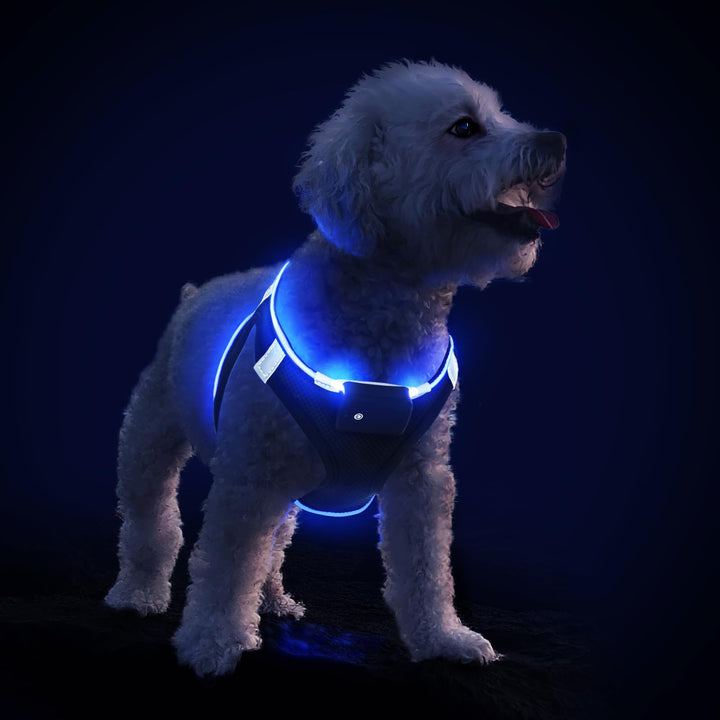 PcEoTllar Hundegeschirr Leuchtend USB Aufladbar Reflektierendes Leuchtgeschirr LED Leucht Brustgesch