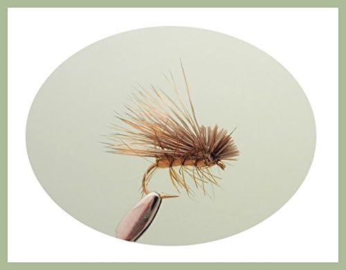 Sedge Forellenfliegen, 24 Stück, verschiedene Grössen, Schwarz, Silber, Elch, Hirsch