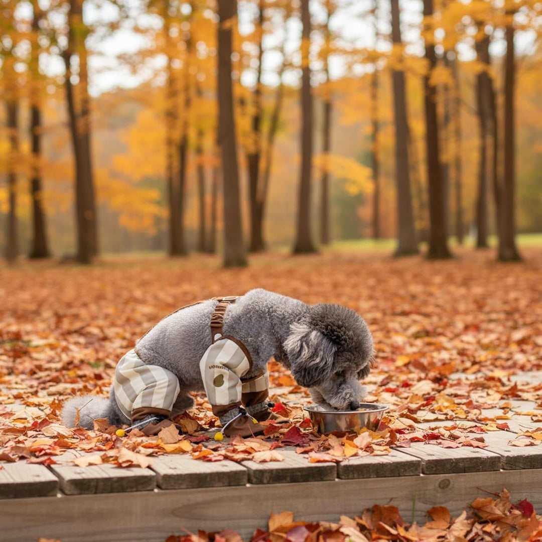 Hunde Stiefel, Wasserdicht,Hunderegenstiefel Mit Hosenträgern, Schmutzabweisende Hundehosen Für Drau