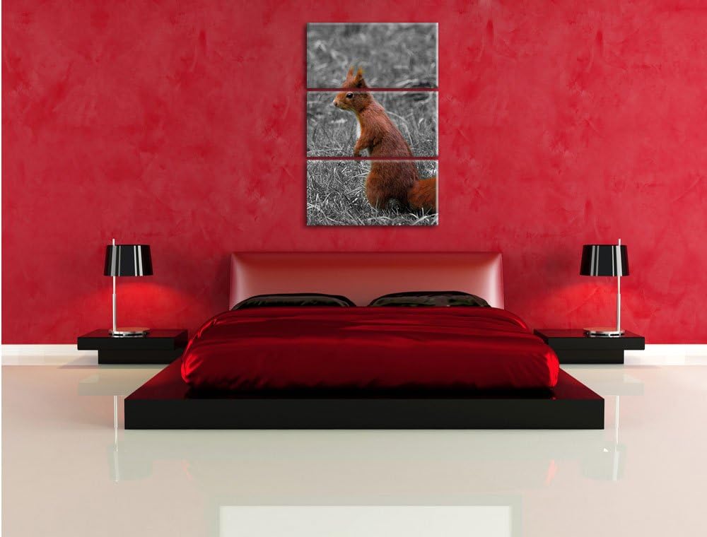 Pixxprint kleines Eichhörnchen auf Waldboden schwarz/weiss 3-Teiler Leinwandbild 120x80 Bild auf Lei