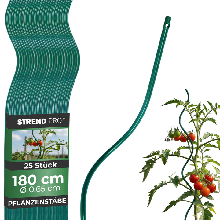 STREND PRO Tomatenstäbe 180 cm - 25 STK. | Spiralstab Ø 6,5 mm Verzinkter Stahl | Pflanzstab, Tomate