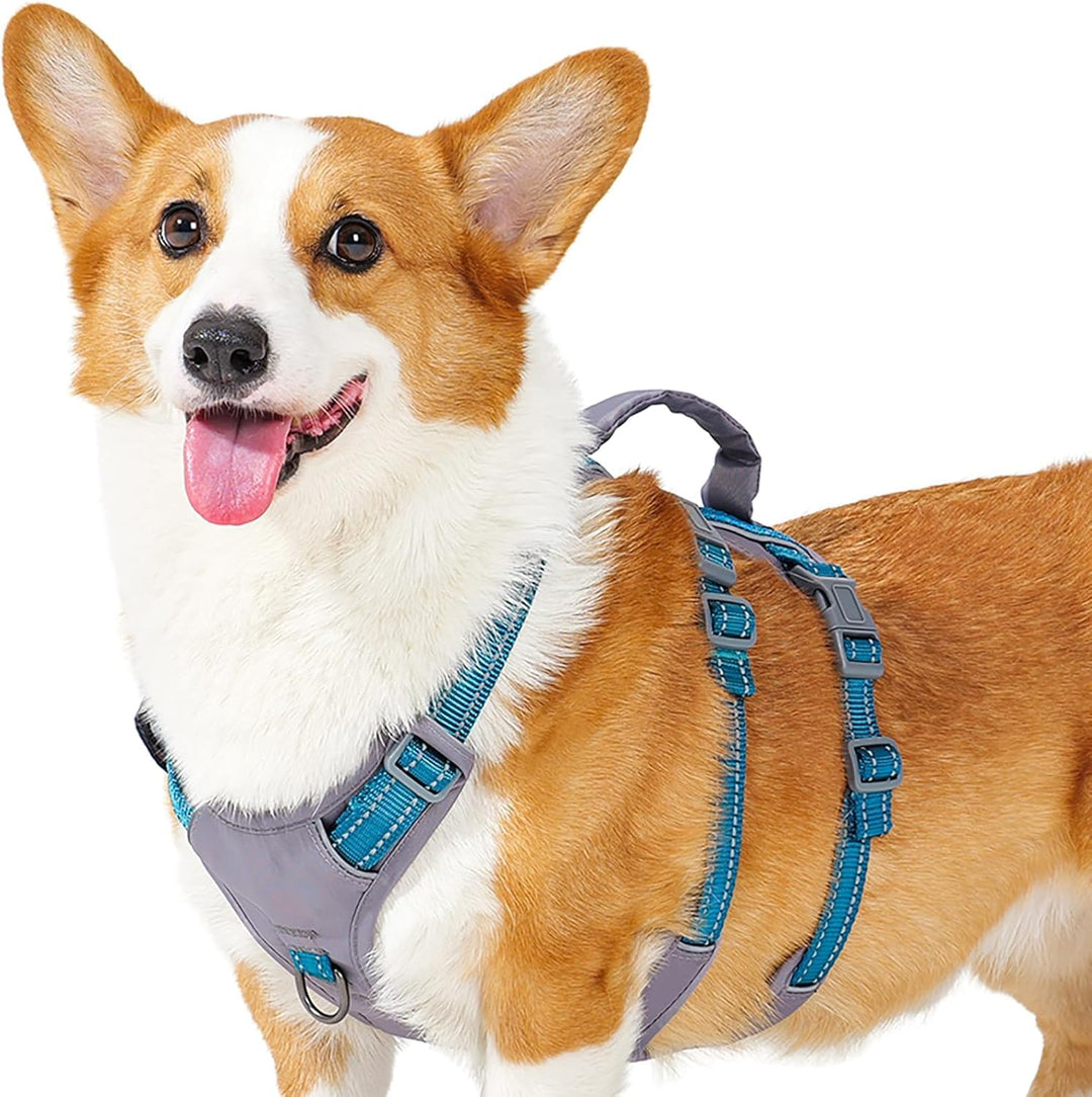Huntboo Sicherheitsgeschirr Hund Ausbruchsicher, Panikgeschirr für Hunde, Reflektierendes Geschirr H