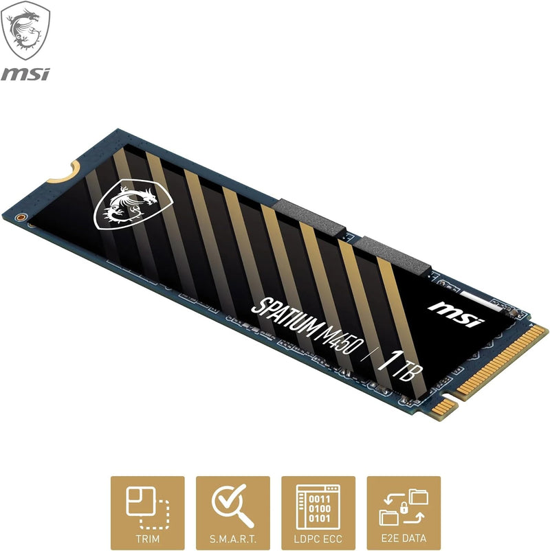 SPATIUM M450 PCIe 4.0 NVMe M.2 1TB