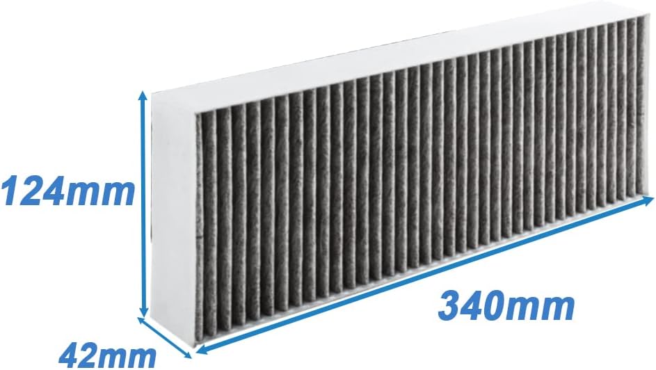 EVAYP / 2x Aktivkohlefilter / Ersatz für BORA BAKFS / Kompatibel für BORA Basic Dunstabzugshaube GP4