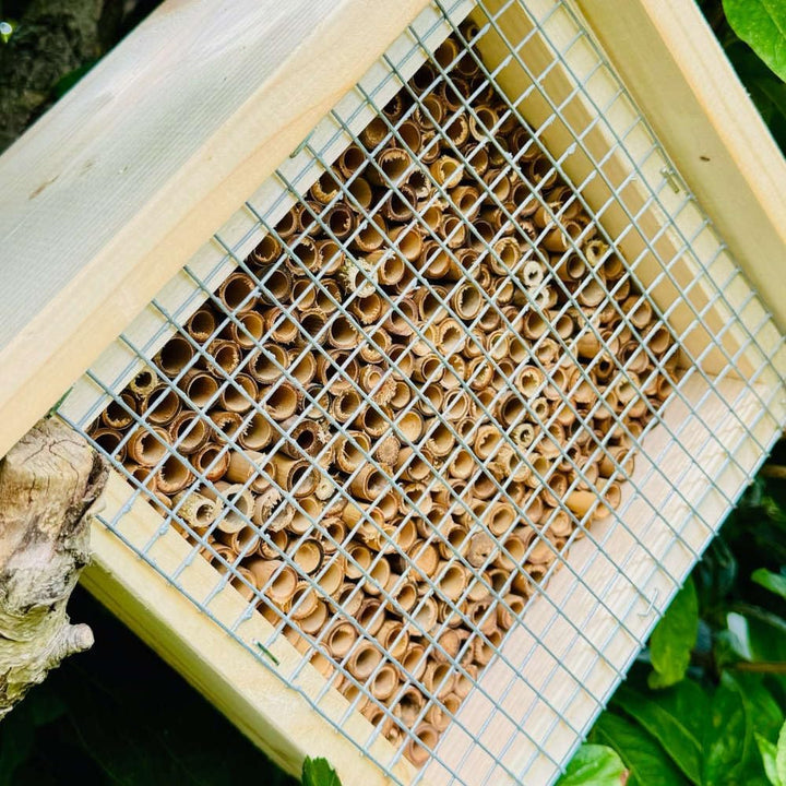 Holz Insektenhotel L Wildbienen-Nisthilfe Rechteckiges Insektenhaus Naturbelassen mit Schutzgitter