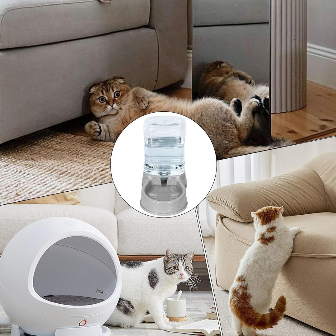 Automatischer Katzenfuttermittel - Katzenfutterspender Automatisch | -Feeder | Haustiere Mit Grosser