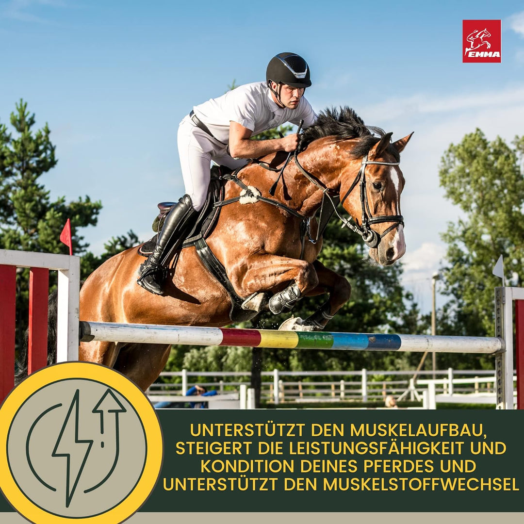 EMMA Reiskeimöl für Pferde + Aminosäuren Pferd I 2 * 1 L 30ml Liquid + Paste Amino Muskel Plus Vitam