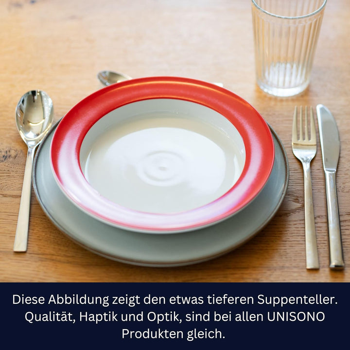 unisonoPLUS Speiseteller Porzellan Rot 26 cm – Spezialteller mit Schiebekante, rutschfest, spülmasch