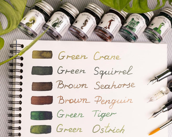 Octopus Write and Draw Ink Set FOREST, wasserfeste Tinte zum Schreiben und Zeichnen, Kalligraphietin