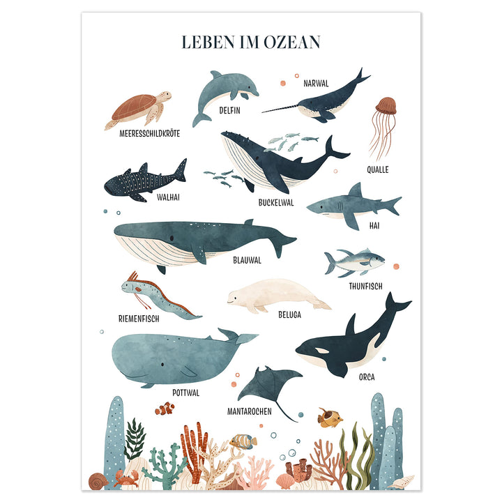 kizibi® Unterwasserwelt Lernposter für Kinderzimmer - Detailliertes DIN A2 Poster des Meeres & Ozean