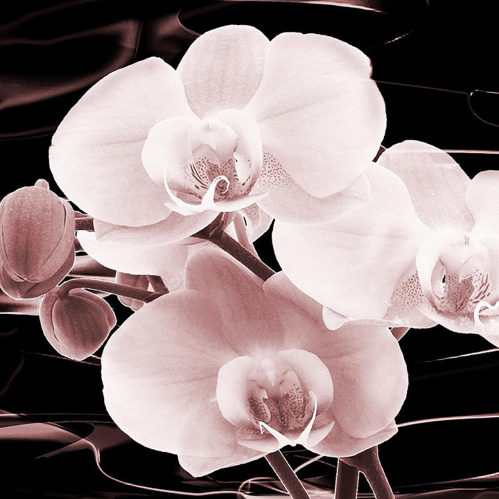 Runa Art - Bilder Blumen Orchidee 200 x 100 cm 5 Teilig XXL Wanddekoration Design Rosa Braun 203251c