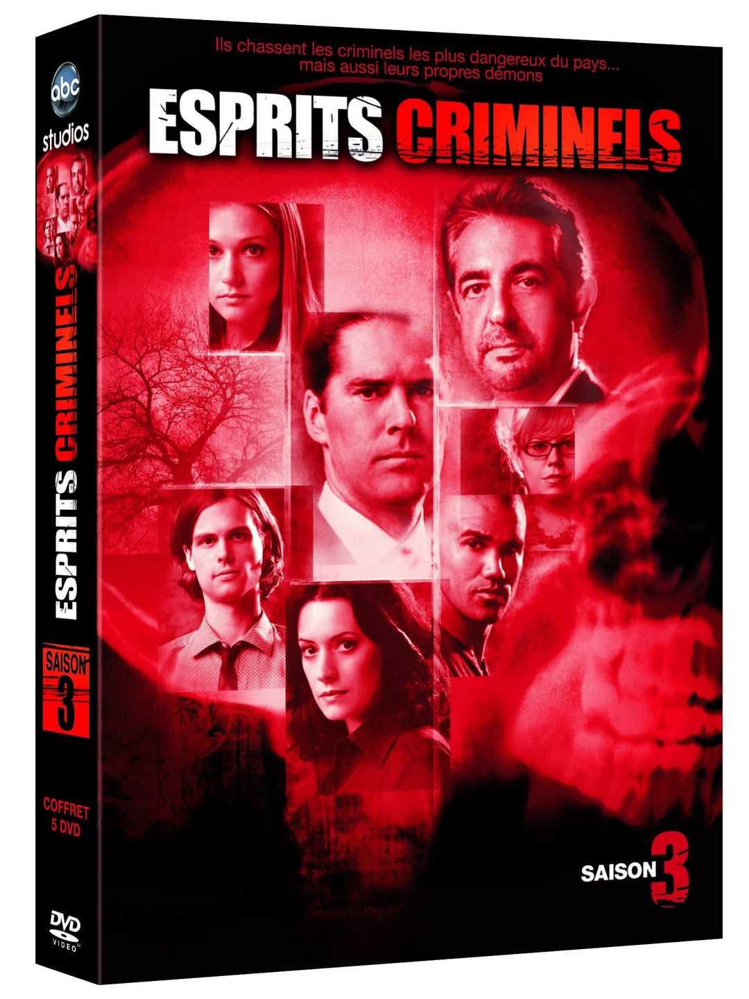 Esprits criminels, saison 3 [FR Import], DVD