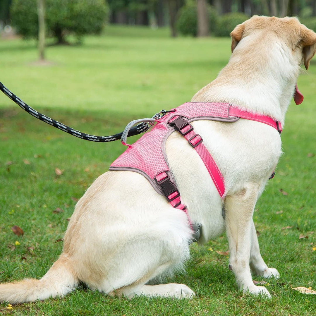 BELPRO Mehrzweck-Hundegeschirr, ausbruchsicher, kein Ziehen, reflektierend, verstellbare Weste mit s