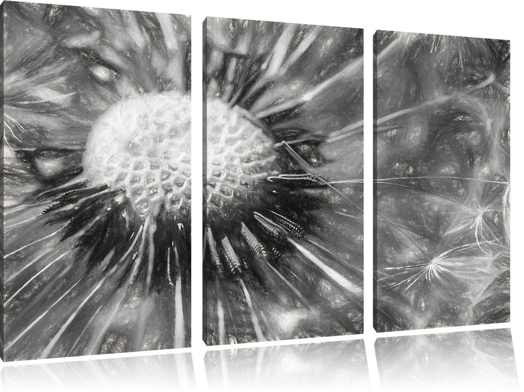 Pixxprint Pusteblume als Leinwandbild/Grösse: 3 Teilig (120x80) cm/Wandbild/Kunstdruck/fertig bespan