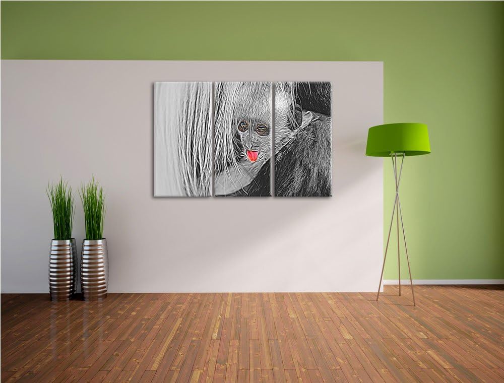 bildschönes Colobus-Äffchen schwarz/weiss Deluxe 3-Teiler Leinwandbild 120x80 Bild auf Leinwand, XXL