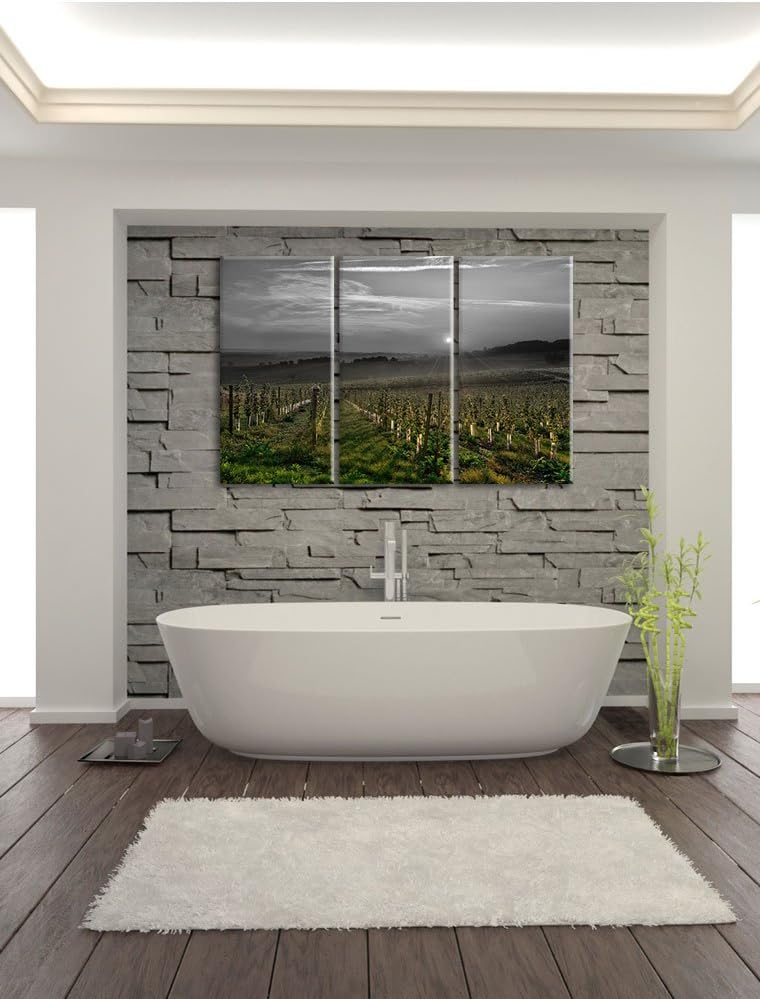 Pixxprint Weinberg in Bergerac Frankreich / 3-Teilig/Gesamtmass 120cm Leinwandbild bespannt auf Holz