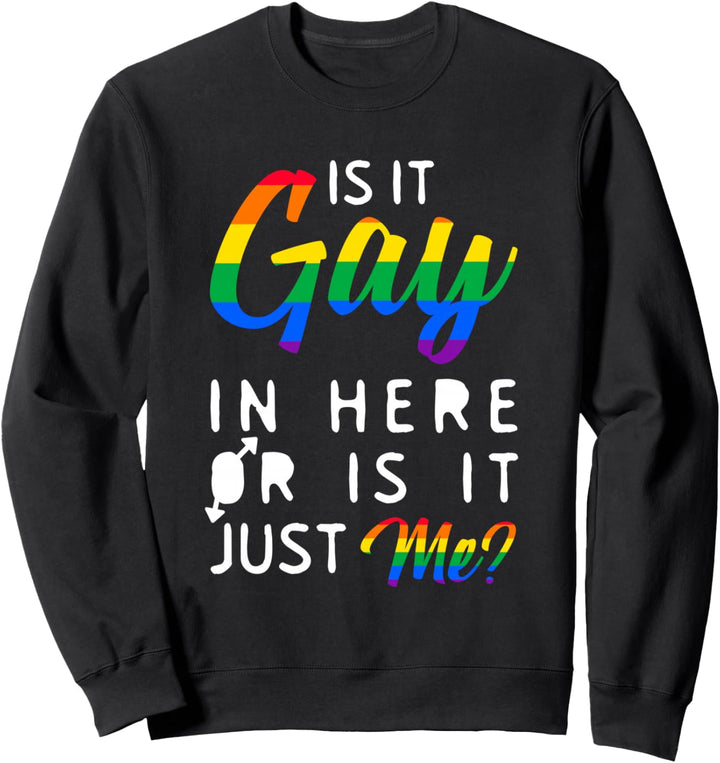 Gay Pride Monat Regenbogen Fahne Sprüche Schwulen LGBTQ Sweatshirt