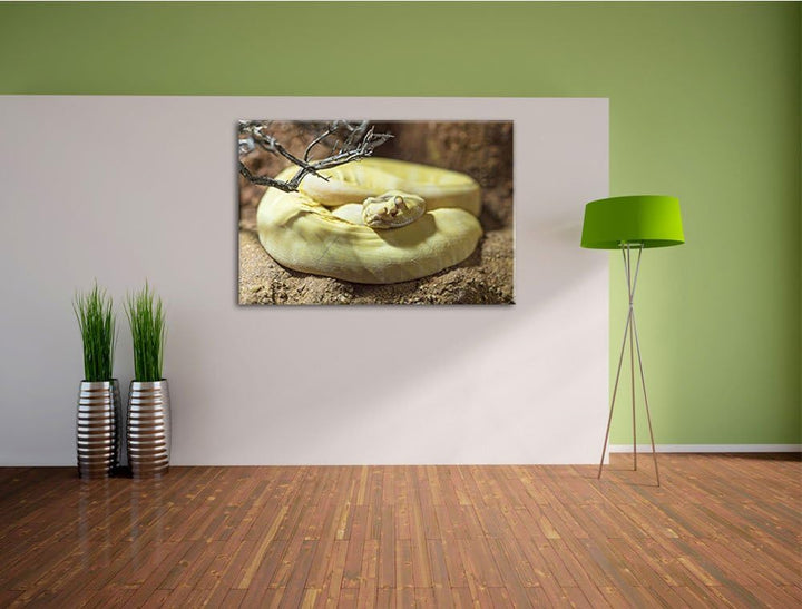 Pixxprint gelbe Schlange auf Leinwand, XXL riesige Bilder fertig gerahmt mit Keilrahmen, Kunstdruck