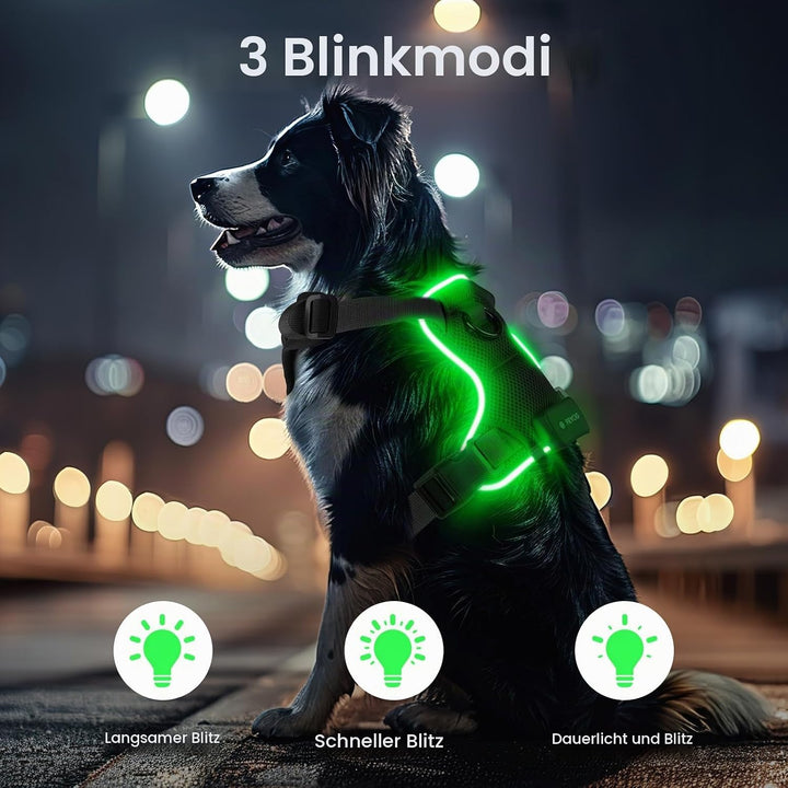 Light Up Dog Hundegeschirr Leuchtend LED Aufladbar - Leuchtgeschirr Leuchtend für Klein Mittelgrosse