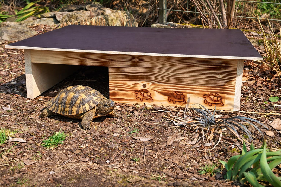 Premium Schildkrötenhaus aus 20mm Vollholz (SH13) - Schildkrötenhaus Schildkrötengehege Schildkröte