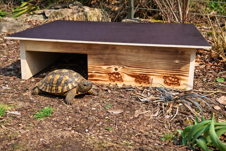 Premium Schildkrötenhaus aus 20mm Vollholz (SH13) - Schildkrötenhaus Schildkrötengehege Schildkröte