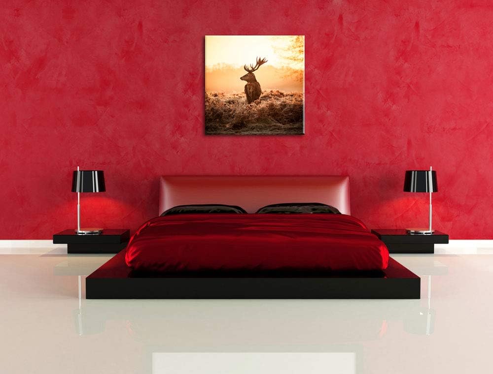 Pixxprint Stolzer Hirsch, Format: 70x70 auf Leinwand, XXL riesige Bilder fertig gerahmt mit Keilrahm