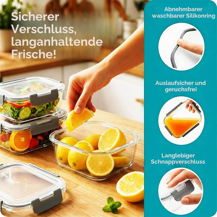 Glasbehälter mit Deckel, 2-teilig Meal Prep Boxen &amp; Frischhaltedosen aus Borosilikatglas, BPA-frei &amp;