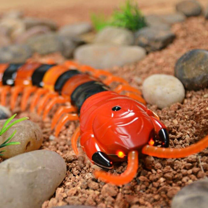 Dilwe RC Centipede Spielzeug, schnelle Bewegung Infrarot Fernbedienung gefälschte Scolopendra RC Str