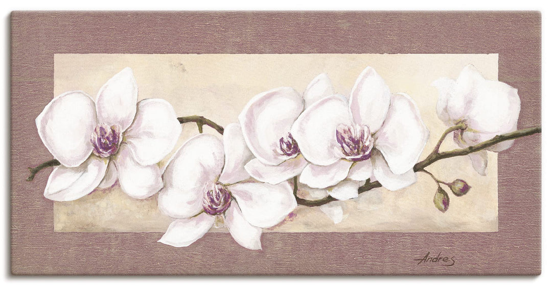 ARTland Wandbild selbstklebende Vinylfolie 100 x 50 cm Botanik Blumen Orchidee Malerei Creme A1TS Or