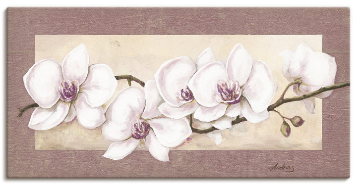 ARTland Wandbild selbstklebende Vinylfolie 100 x 50 cm Botanik Blumen Orchidee Malerei Creme A1TS Or