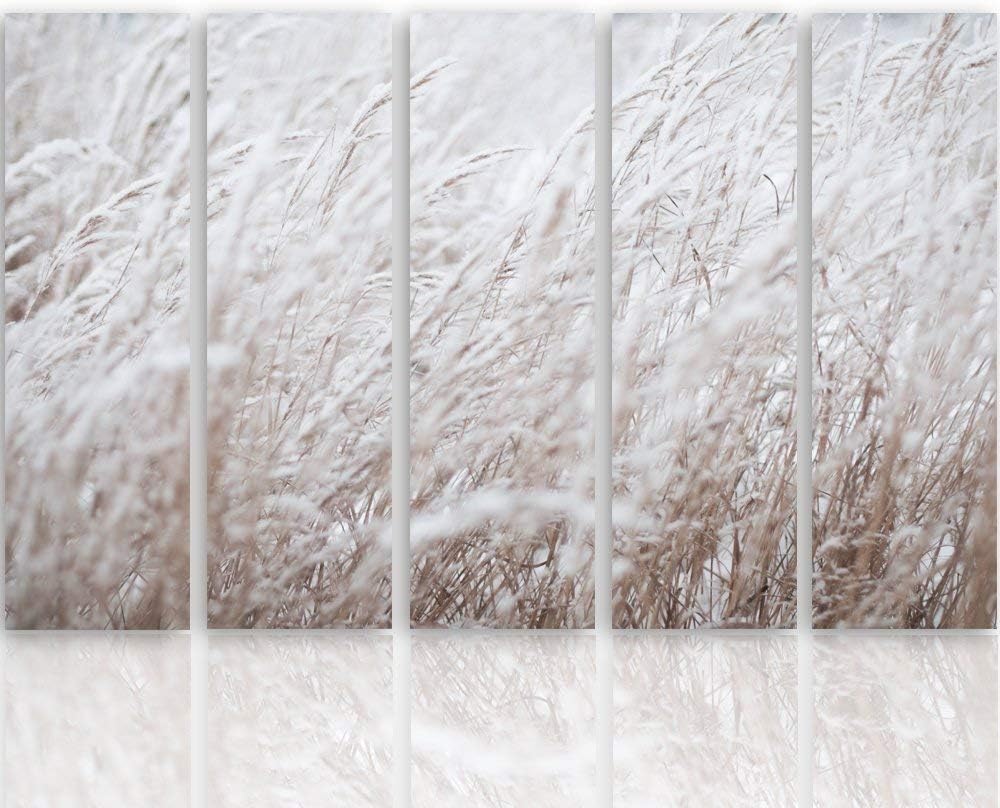 Feeby. Wandbild - 5 Teile - Deko Bilder, gedrucktes Bild, Deco Panel, Foto, Kunstdrucke, 5-Teilig, T